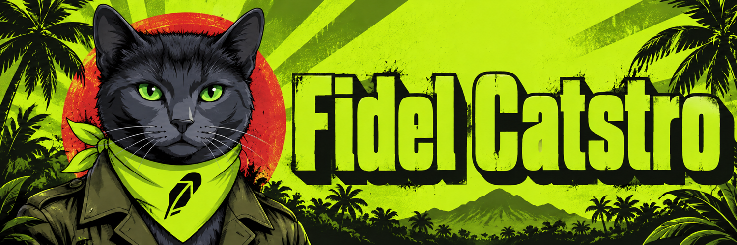 Fidel Catstro banner